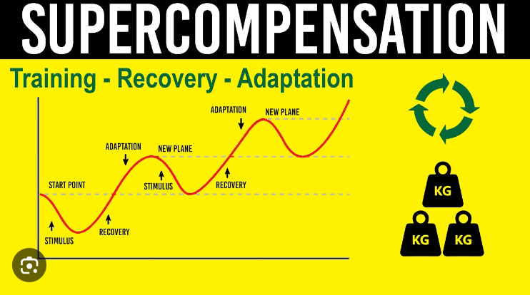 The Science Behind Split Training: Boosting Exercise Effectiveness